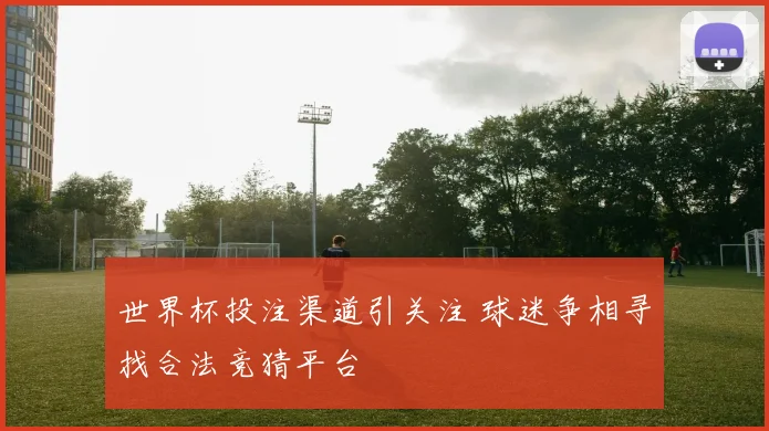 世界杯投注渠道引关注 球迷争相寻找合法竞猜平台