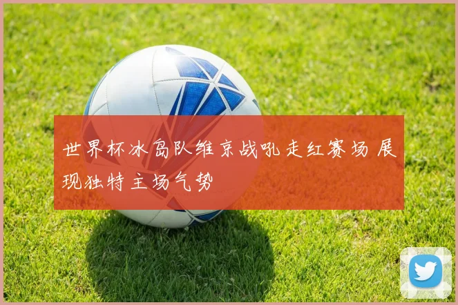 世界杯冰岛队维京战吼走红赛场 展现独特主场气势