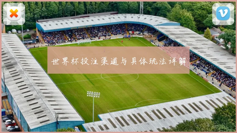 世界杯投注渠道与具体玩法详解