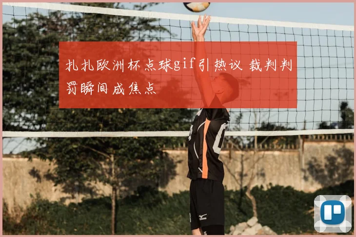扎扎欧洲杯点球gif引热议 裁判判罚瞬间成焦点