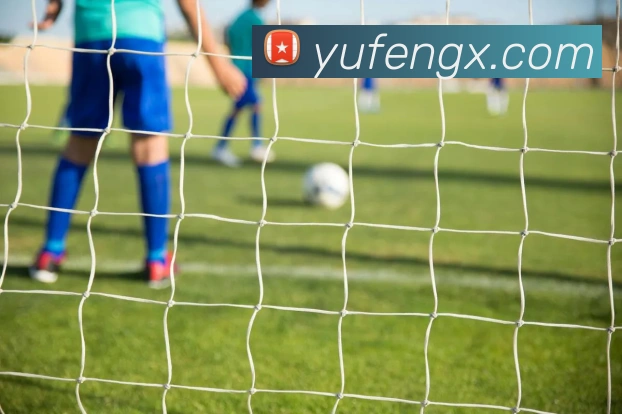 互动解说服务